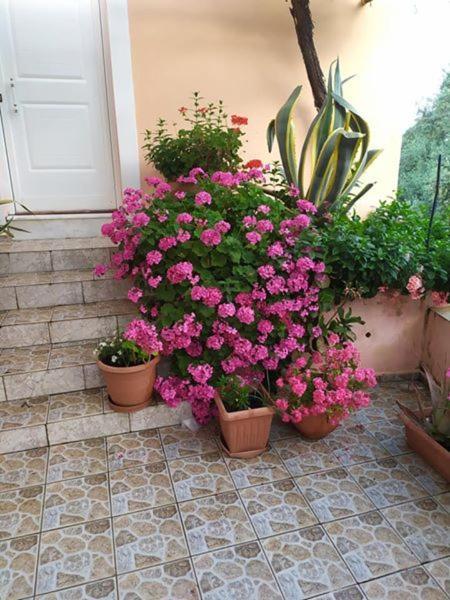 فيلا Garden Of Olive Trees Asfendiles المظهر الخارجي الصورة